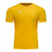 Футболка игровая Jogel DIVISION PerFormDRY Union Jersey, желтый 75_75