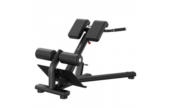 Гиперэкстензия (разгибание спины) Smith Fitness RE6010 600_380